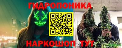 сатива Ливны