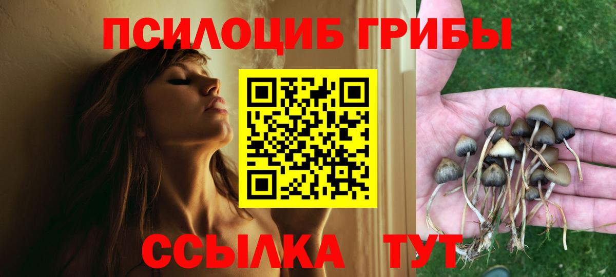Псилоцибиновые грибы GOLDEN TEACHER  Вход с VPN  Сухой Лог 
